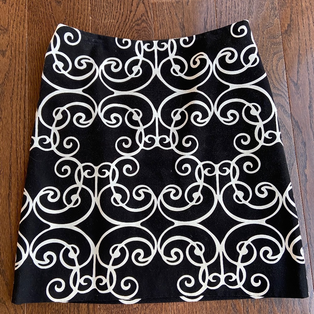 Ann Taylor Skirt